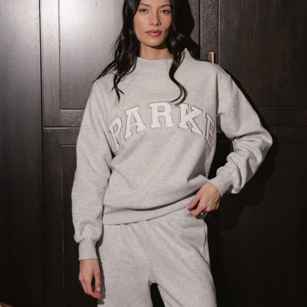 PARKE SOLD OUT Varsity Sport Mockneck Sweatshirt Metallic Grey Viral S/M
